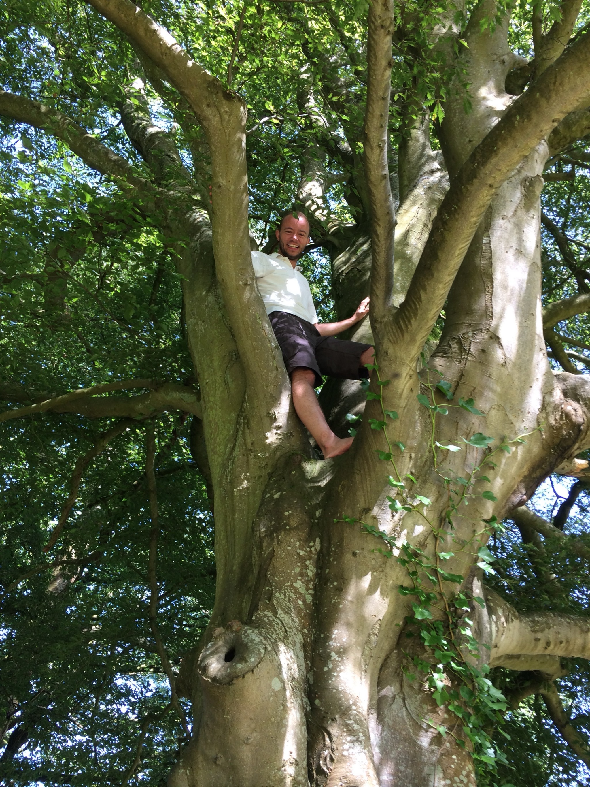 marcus-in-tree