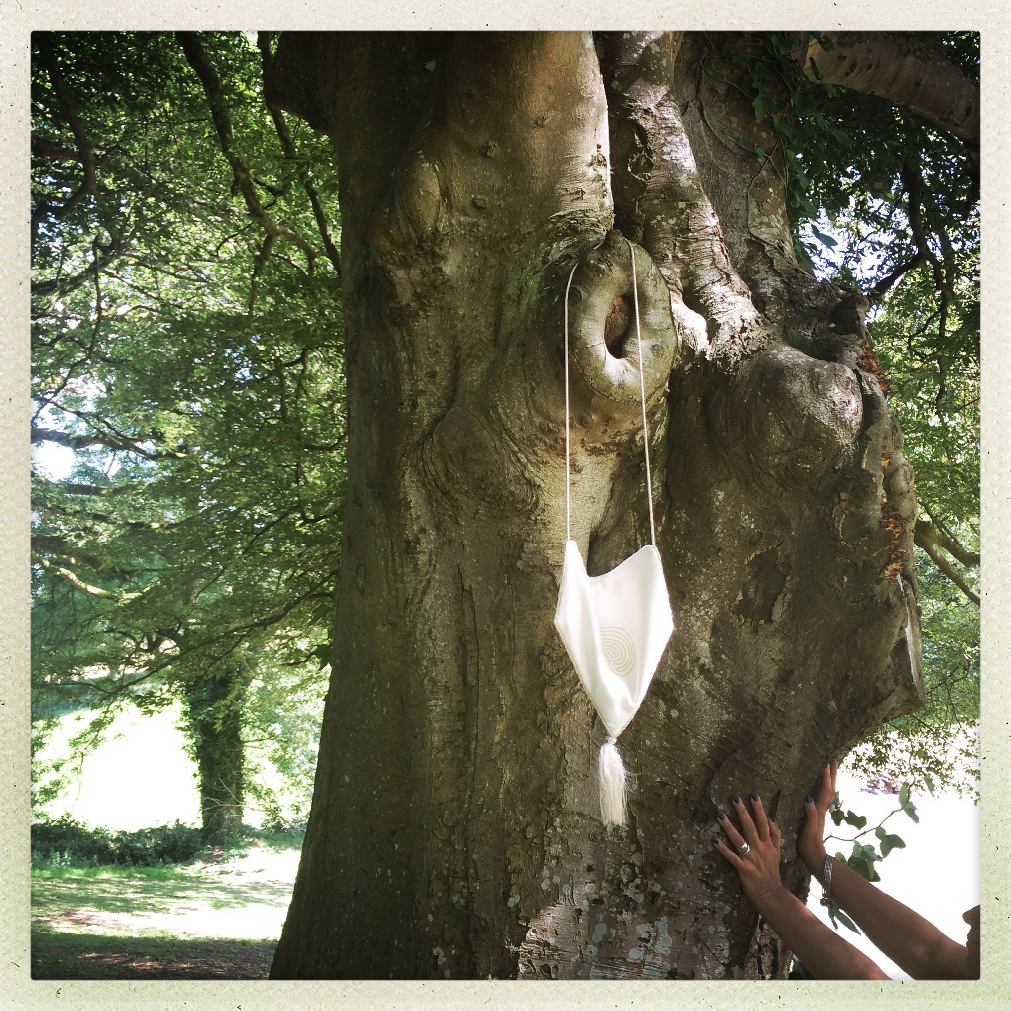 A Shaman's bundle hangs on a beech tree