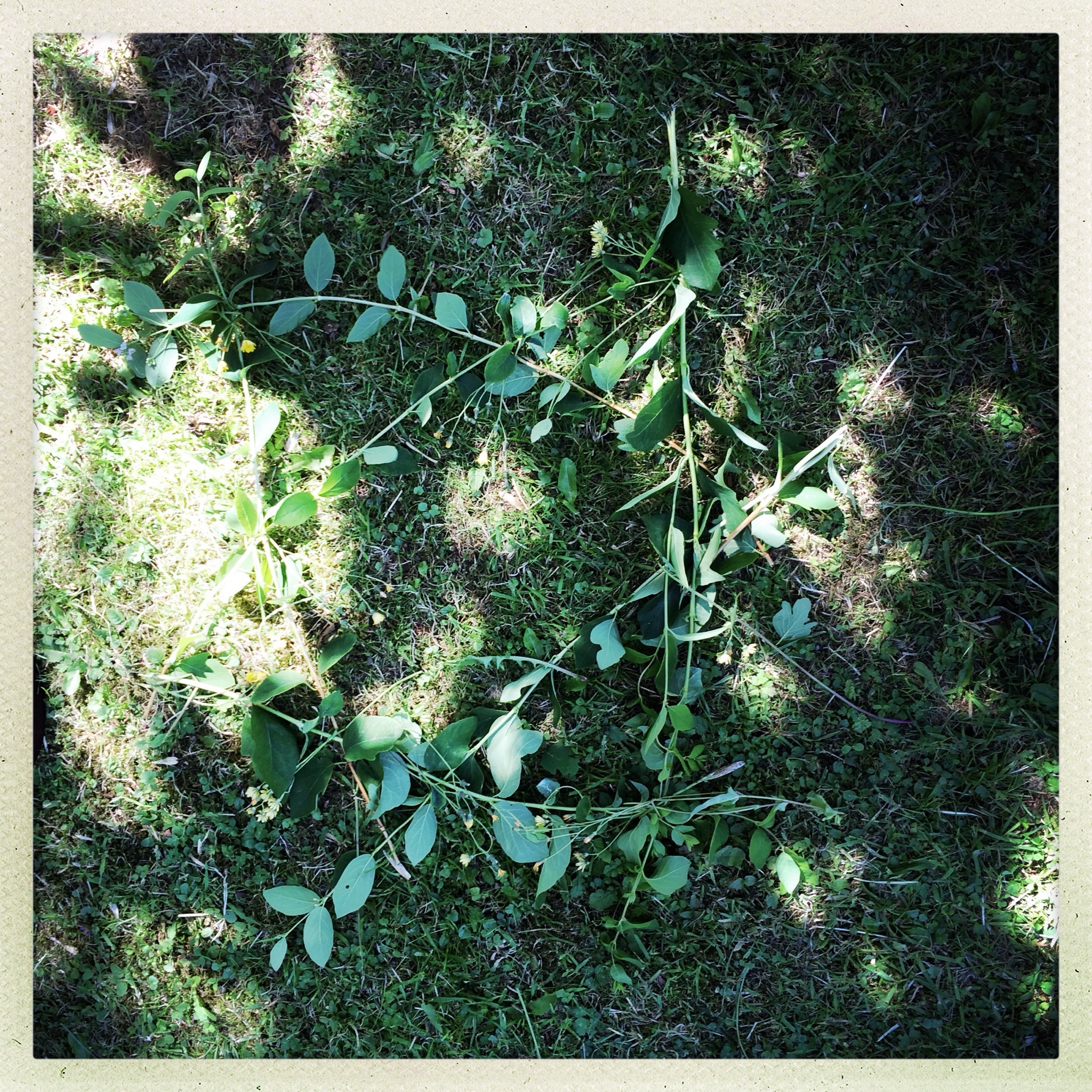Star of David arranged with branches