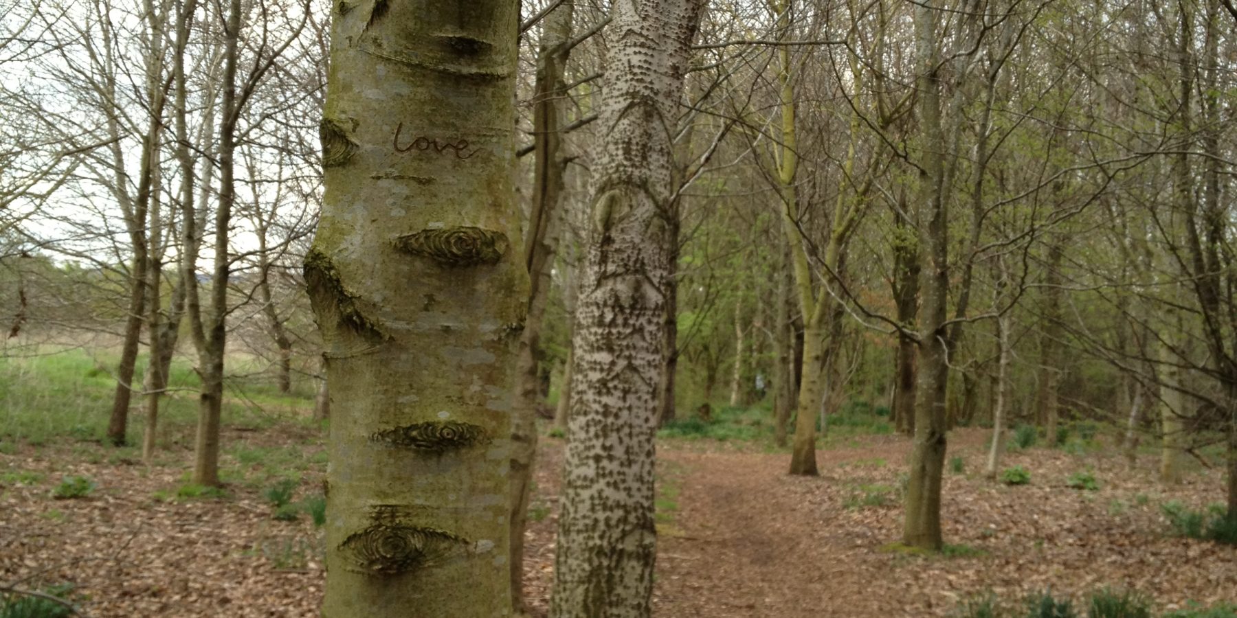 On Silence & Vipassana